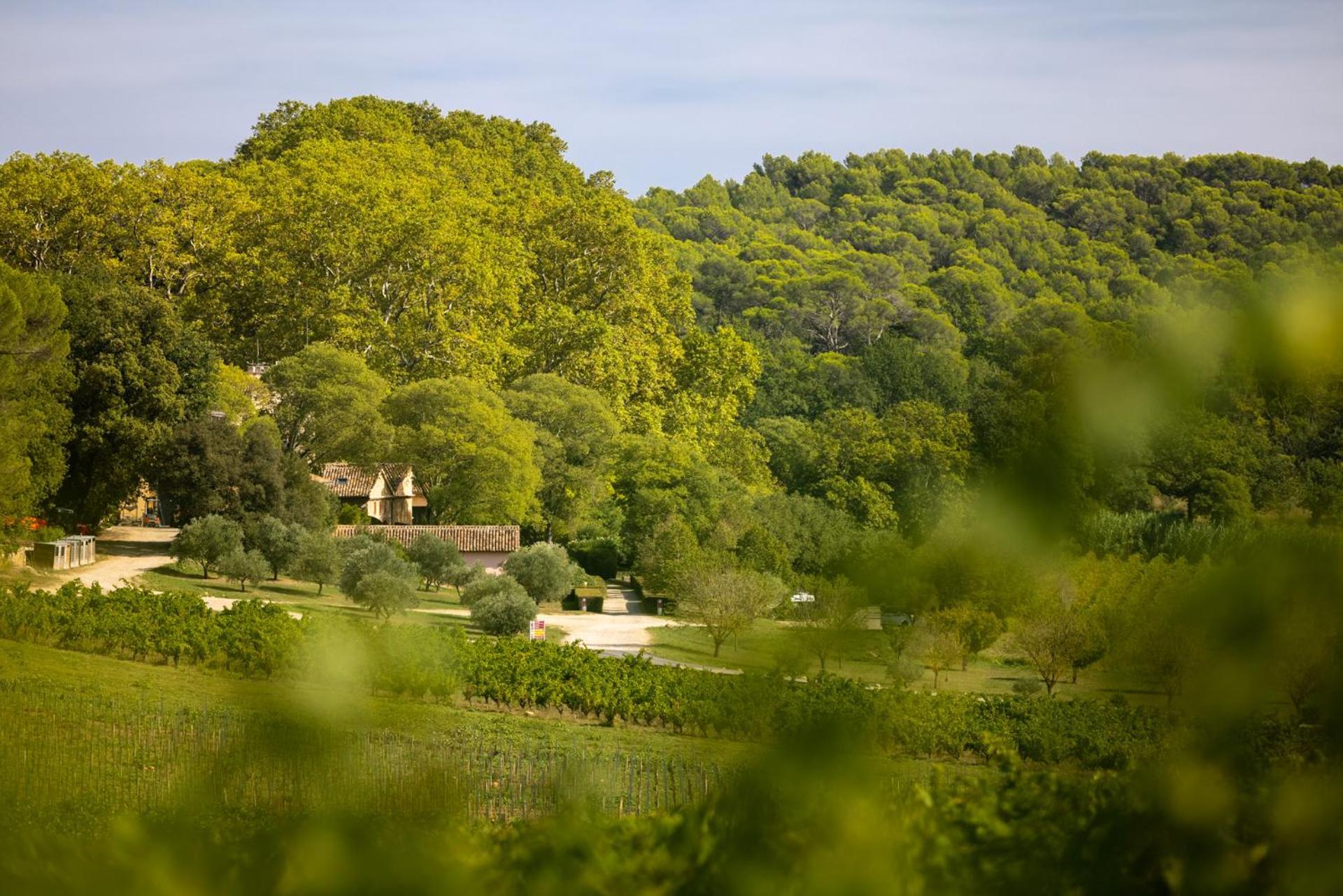Chateau Mentone Masseboeuf Екстериор снимка