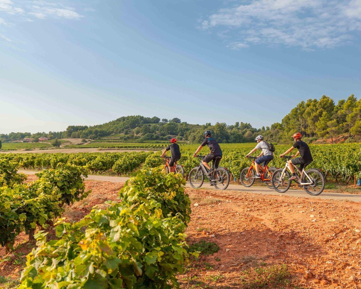 Chateau Mentone Masseboeuf Екстериор снимка