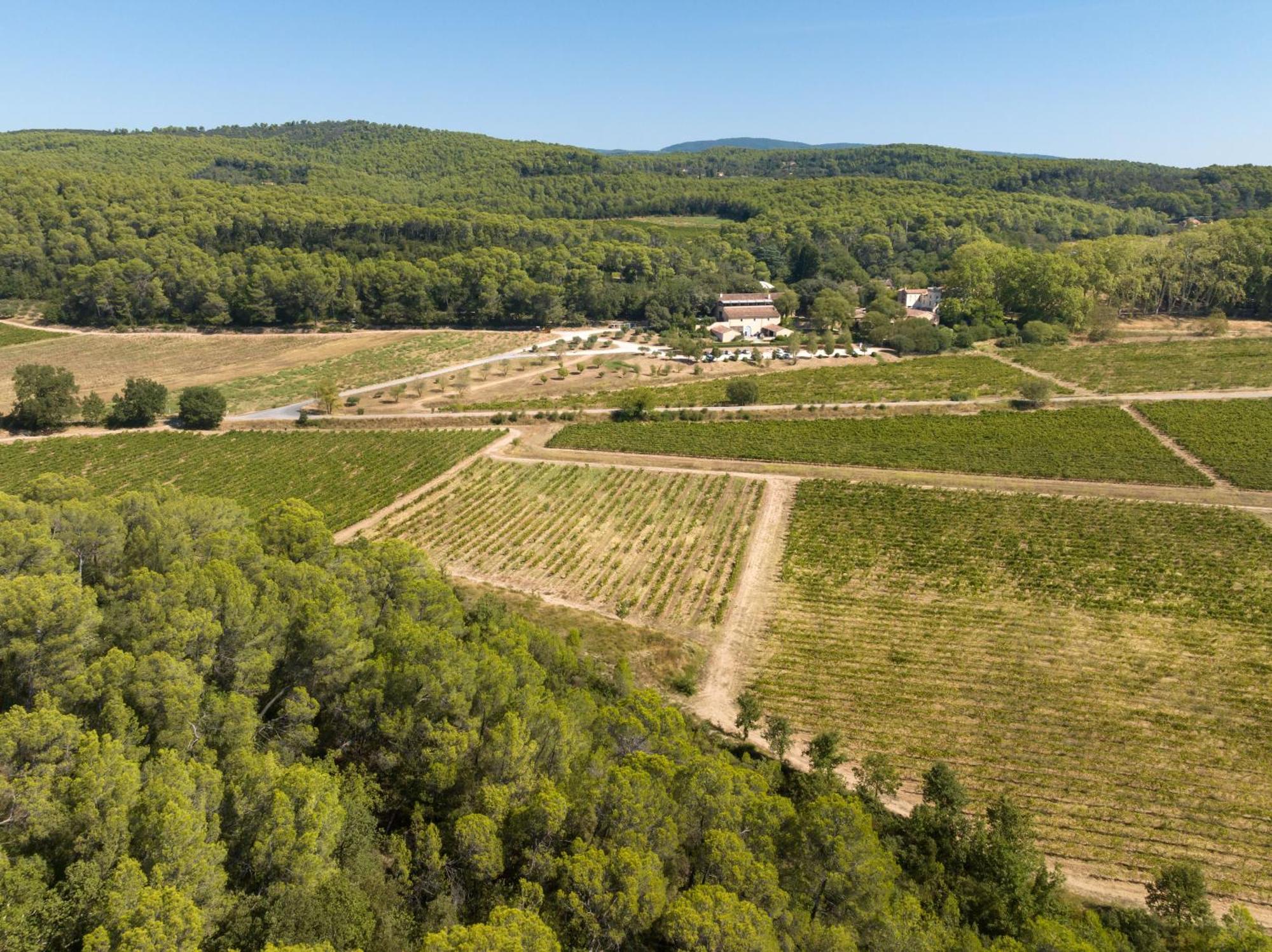 Chateau Mentone Masseboeuf Екстериор снимка